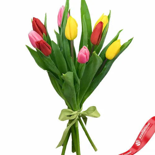 Фото 1: 9 разноцветных тюльпанов. Сервис доставки цветов AzaliaNow