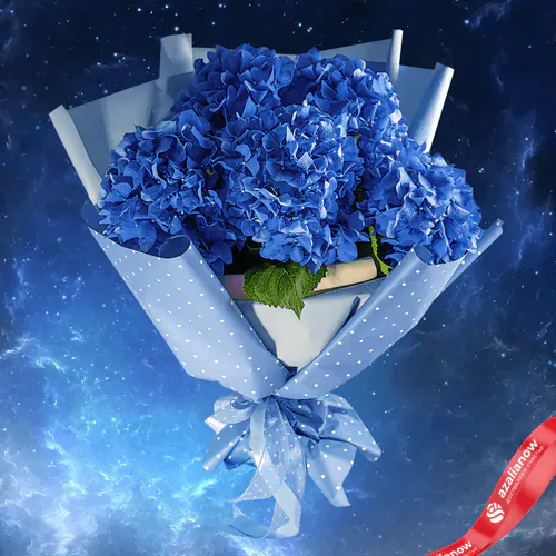 Фото 1: Синий космос из 5 гортензий. Сервис доставки цветов AzaliaNow
