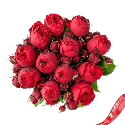 Фото 1: 11 кустовых пионовидных красных роз. Сервис доставки цветов AzaliaNow