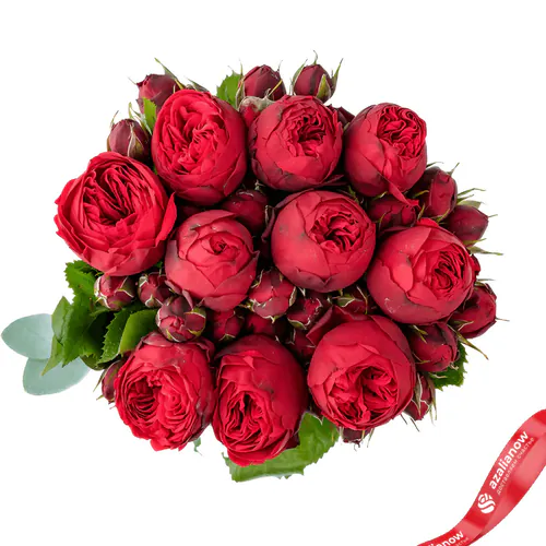 Фото 1: 9 кустовых пионовидных красных роз. Сервис доставки цветов AzaliaNow